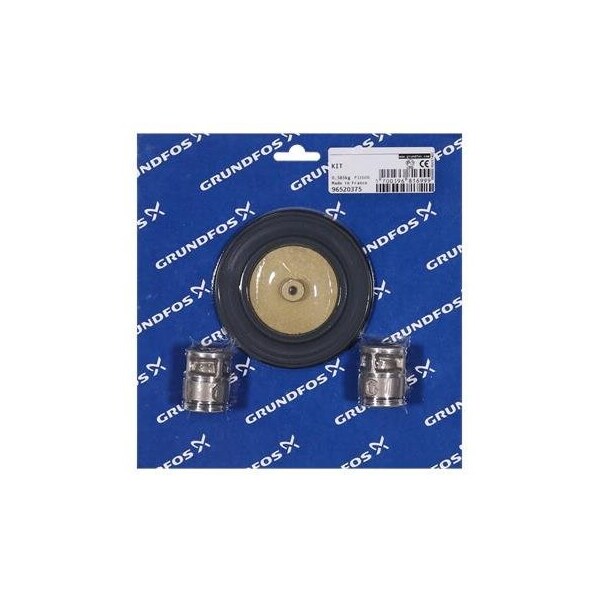 Pump Repair Parts- Kit, valve/diaphragm DME150 SS/V/SS, DME Series.